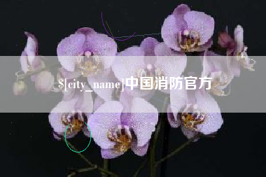 广安中国消防官方