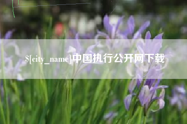 广安中国执行公开网下载