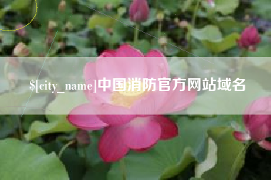 广安中国消防官方网站域名