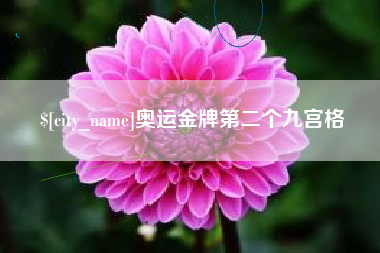 广安奥运金牌第二个九宫格