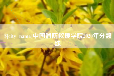 广安中国消防救援学院2020年分数线
