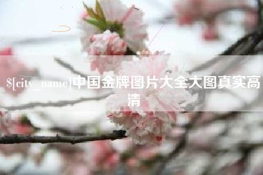 广安中国金牌图片大全大图真实高清