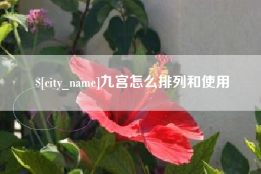 广安九宫怎么排列和使用
