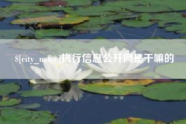 广安执行信息公开网是干嘛的