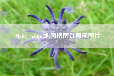 广安地图指南针图标图片