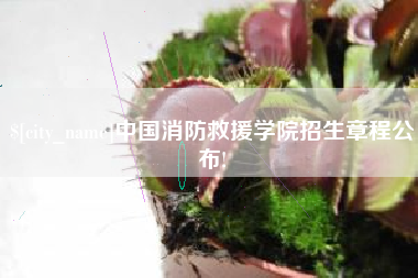 广安中国消防救援学院招生章程公布!