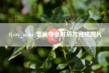广安奥运夺金时刻九宫格图片