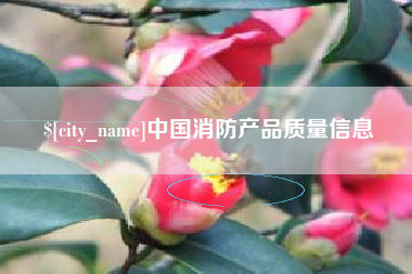 广安中国消防产品质量信息