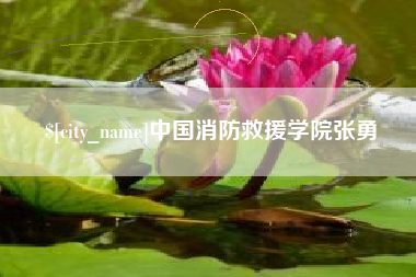 广安中国消防救援学院张勇