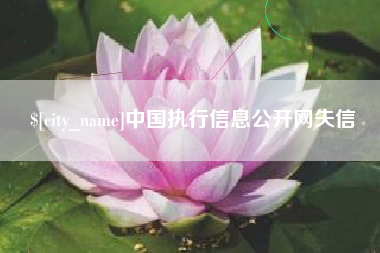 广安中国执行信息公开网失信