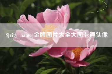 广安金牌图片大全大图卡通头像